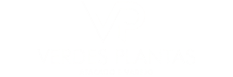 Design sem nome (62)